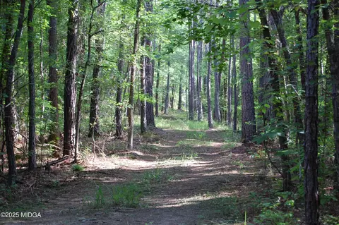 00 Hays Farm Rd, Musella, GA 31066