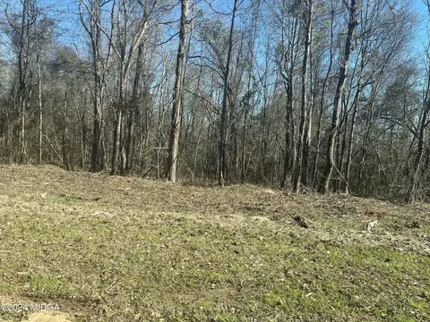 0 Riggins Mills Rd, Jeffersonville, GA 31044