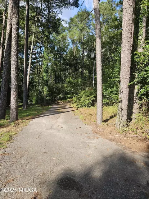 156 Rose Down Ave, Gray, GA 31032 photo 5