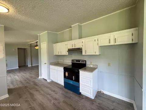 314 Elbert Jackson Rd, Forsyth, GA 31029 photo 7