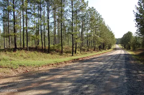 00000 Watson Road Tract 10, Forsyth, GA 31029