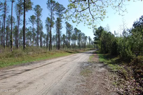 00000 Watson Road Tract 10, Forsyth, GA 31029 photo 2
