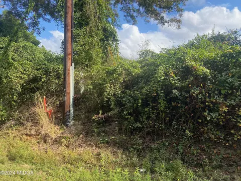 0 Moseley Rd, Byron, GA 31008 photo 5