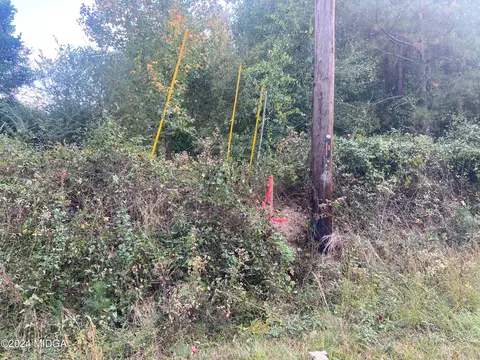 0 Moseley Rd, Byron, GA 31008 photo 6