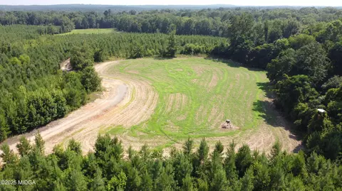9390 Hopewell Rd, Lizella, GA 31052