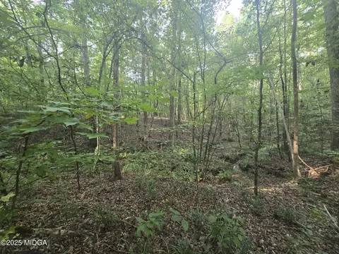 lot8 Pine Grove Church Rd, Culloden, GA 31016