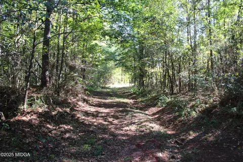 00 Jw Ashley Rd, Jeffersonville, GA 31044