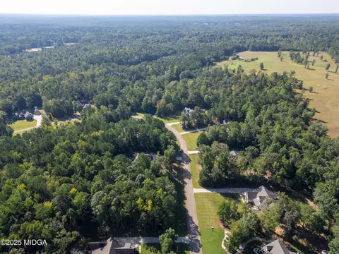 331 Preakness Way, Forsyth, GA 31029 photo 13