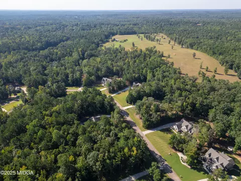 331 Preakness Way, Forsyth, GA 31029 photo 12