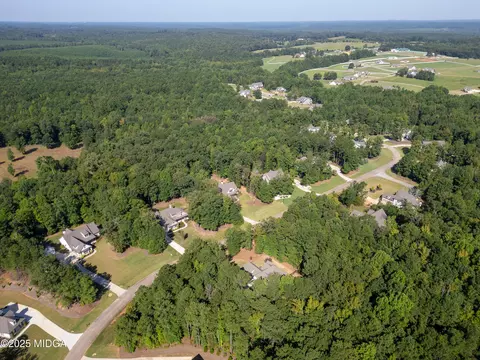 331 Preakness Way, Forsyth, GA 31029 photo 9