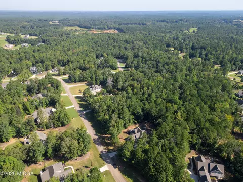 331 Preakness Way, Forsyth, GA 31029 photo 6