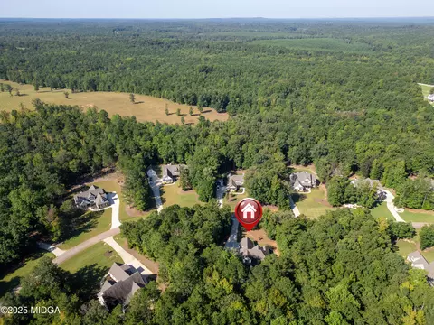 331 Preakness Way, Forsyth, GA 31029 photo 10