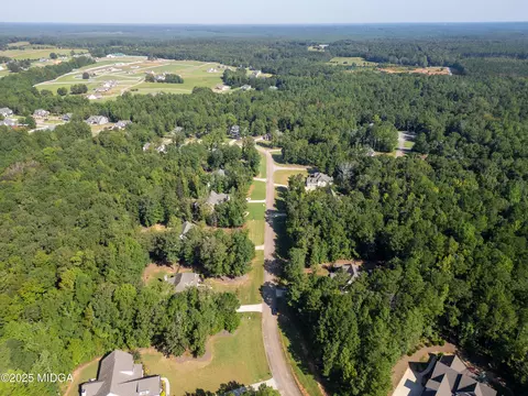 331 Preakness Way, Forsyth, GA 31029 photo 7