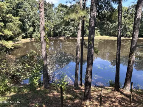 95 Mitchell Rd, Forsyth, GA 31029 photo 13