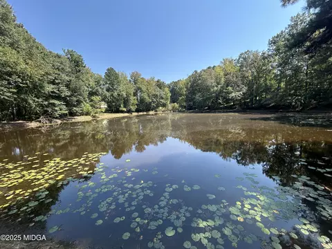 95 Mitchell Rd, Forsyth, GA 31029 photo 2