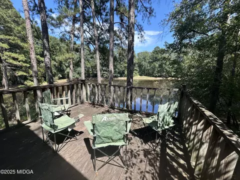 95 Mitchell Rd, Forsyth, GA 31029 photo 8
