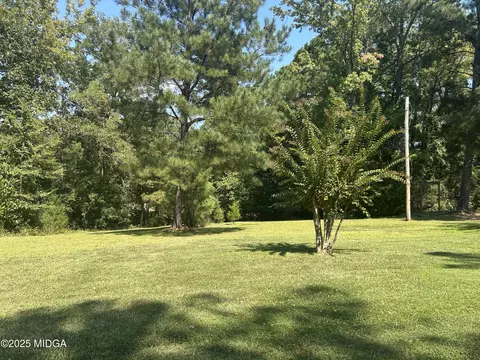 95 Mitchell Rd, Forsyth, GA 31029 photo 17
