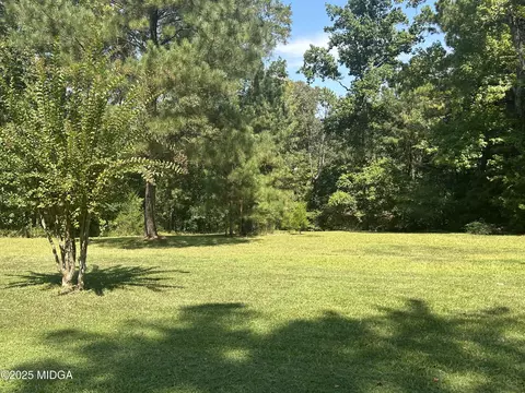 95 Mitchell Rd, Forsyth, GA 31029 photo 18