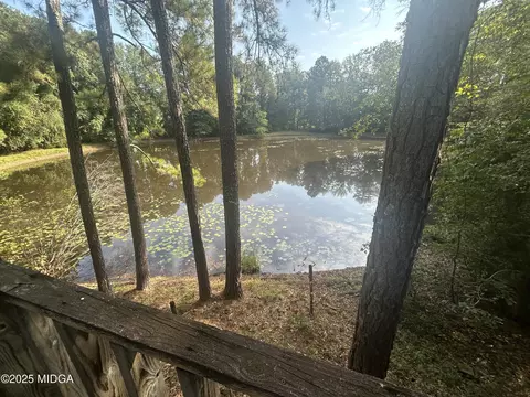 95 Mitchell Rd, Forsyth, GA 31029 photo 11