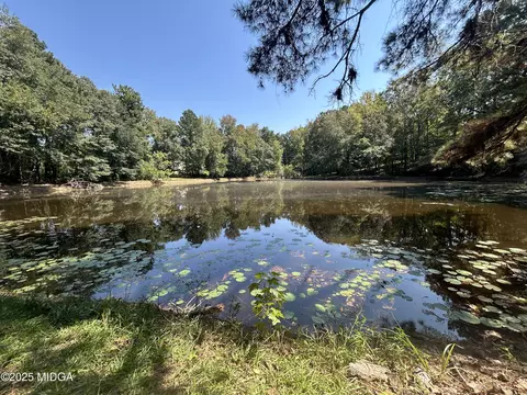 95 Mitchell Rd, Forsyth, GA 31029 photo 6