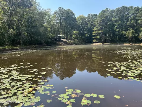 95 Mitchell Rd, Forsyth, GA 31029 photo 3
