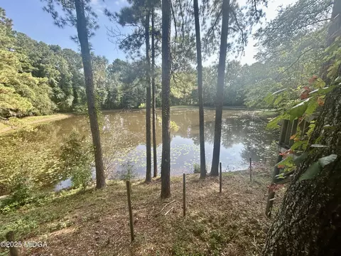 95 Mitchell Rd, Forsyth, GA 31029 photo 12