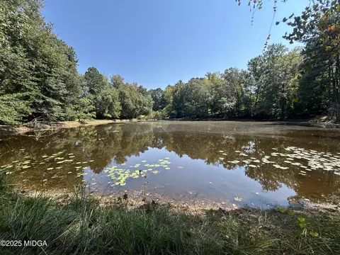 95 Mitchell Rd, Forsyth, GA 31029 photo 7
