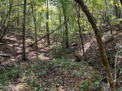 00 White Graves Rd, Chatsworth, GA 30705