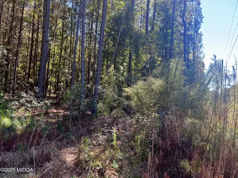 0 Parks Rd, Forsyth, GA 31029 photo 4