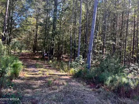 0 Parks Rd, Forsyth, GA 31029 photo 2