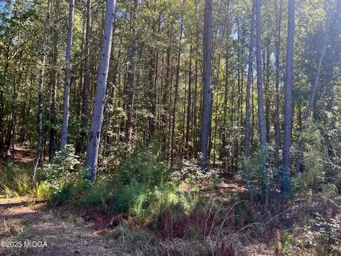 0 Parks Rd, Forsyth, GA 31029 photo 3