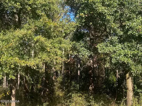 0 District Rd, Jeffersonville, GA 31044
