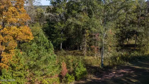 156 Peninsula Ave, Macon, GA 31220 photo 2