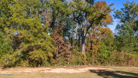 156 Peninsula Ave, Macon, GA 31220 photo 15
