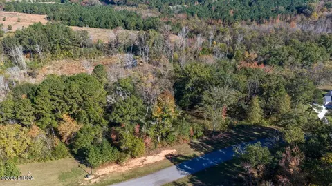 156 Peninsula Ave, Macon, GA 31220 photo 6