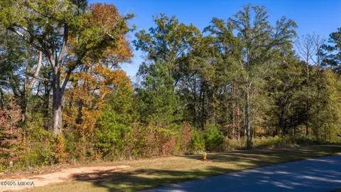 156 Peninsula Ave, Macon, GA 31220 photo 14
