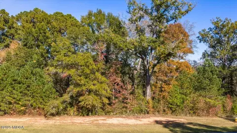 156 Peninsula Ave, Macon, GA 31220 photo 4