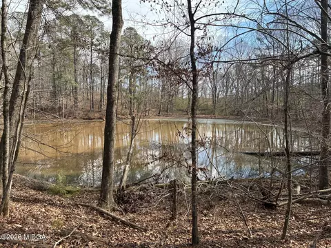 500 Askin Pl, Culloden, GA 31016
