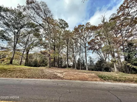 0 S S Lee St, Forsyth, GA 31029 photo 5