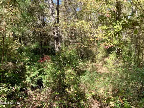 106 Maple Glen Ct, Centerville, GA 31028 photo 8
