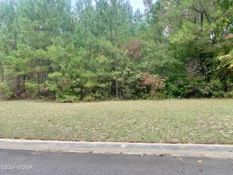 106 Maple Glen Ct, Centerville, GA 31028 photo 4
