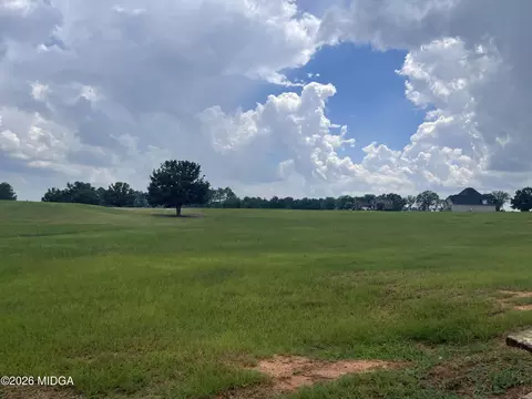 lot44 Crabapple Dr, Hawkinsville, GA 31036