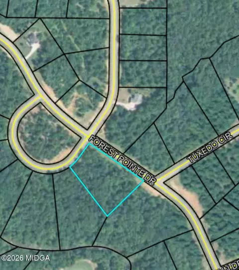 207 Forest Pointe Dr, Forsyth, GA 31029