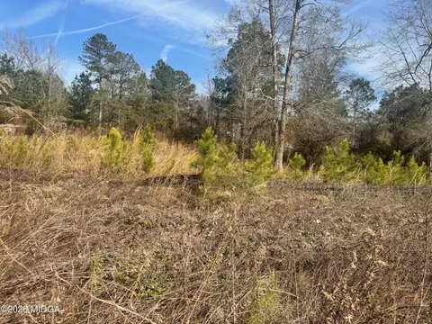 411 Big Oak Cir, Lizella, GA 31052