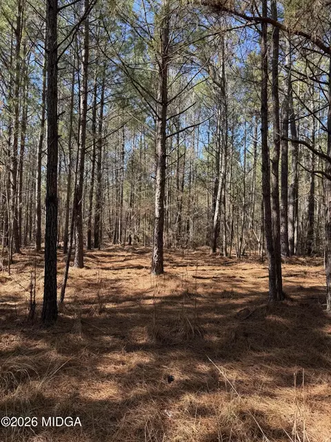 00 Highway 341 N, Roberta, GA 31078 photo 18