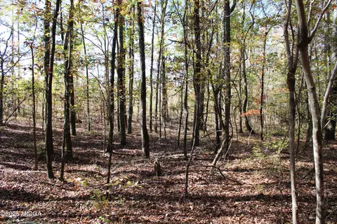 00 Highway 341 N, Roberta, GA 31078 photo 11