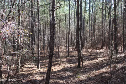 00 Highway 341 N, Roberta, GA 31078 photo 13