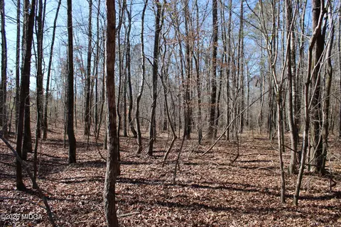 00 Highway 341 N, Roberta, GA 31078 photo 5