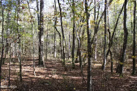 00 Highway 341 N, Roberta, GA 31078 photo 6