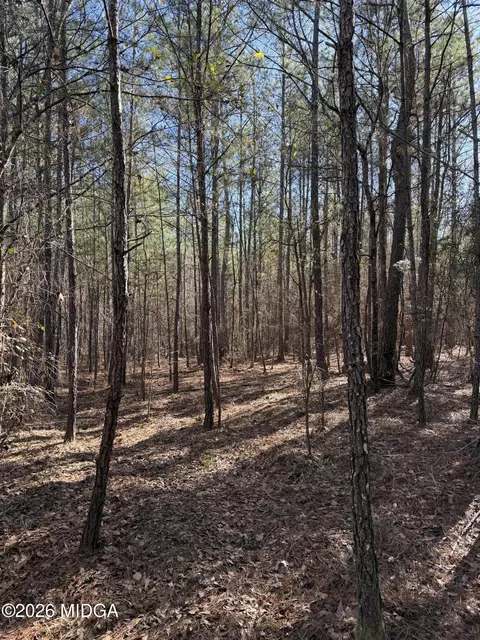 00 Highway 341 N, Roberta, GA 31078 photo 21